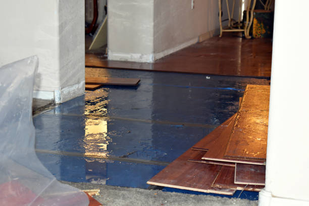 Professional Basement Water Removal technician working in Leoma, TN